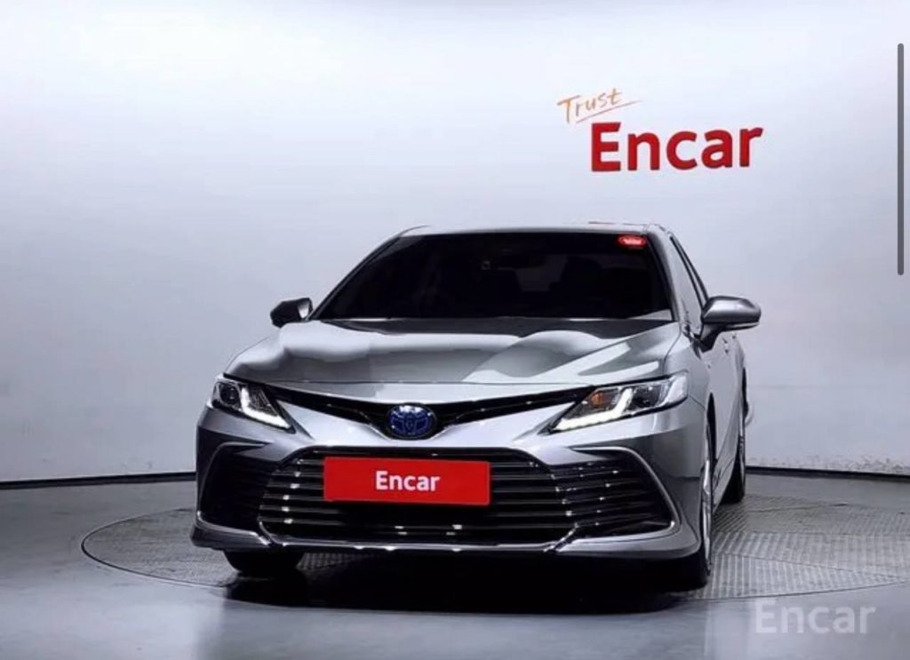 photo_5321055466169691275_y