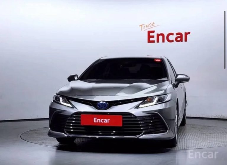 photo_5321055466169691275_y