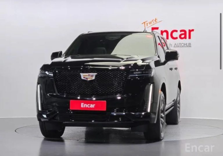 photo_5330173604429688800_y