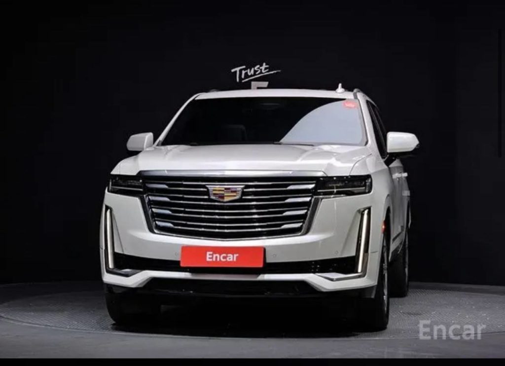 photo_5330173604429688829_y