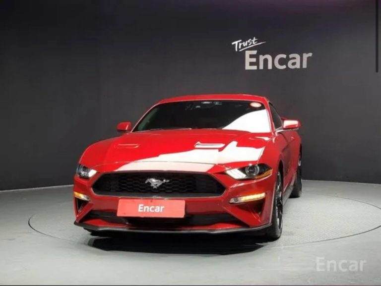 photo_5334891823572843283_y