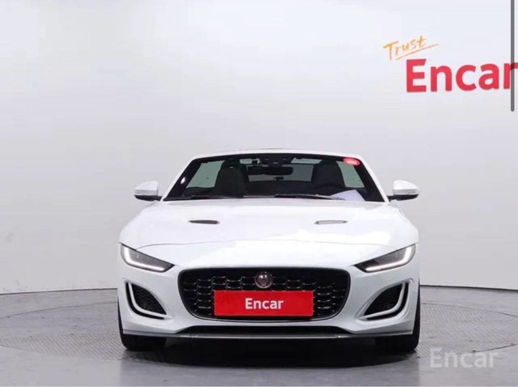 photo_5339354414852468175_y