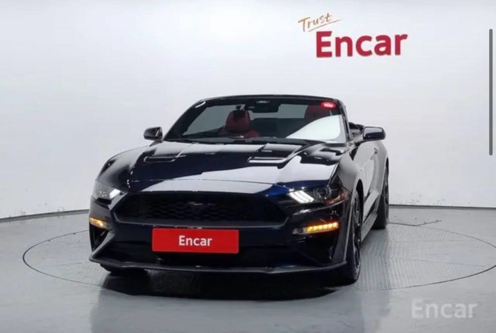 photo_5339441190371717266_y