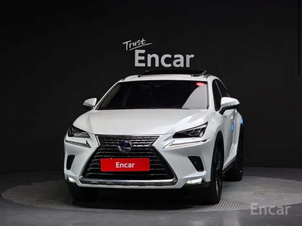 photo_5359494963907392633_y