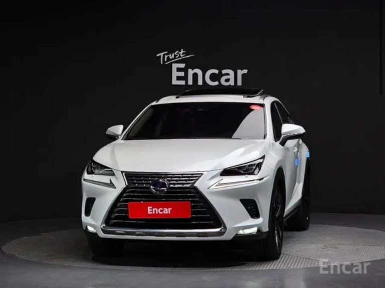 photo_5359494963907392633_y