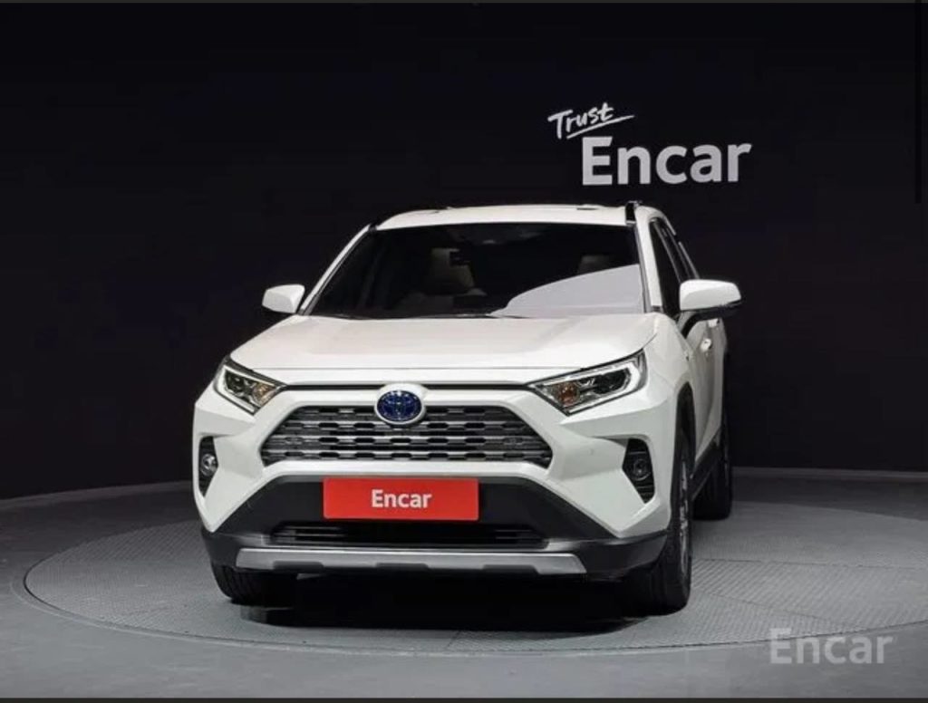 photo_5377591473601638821_y