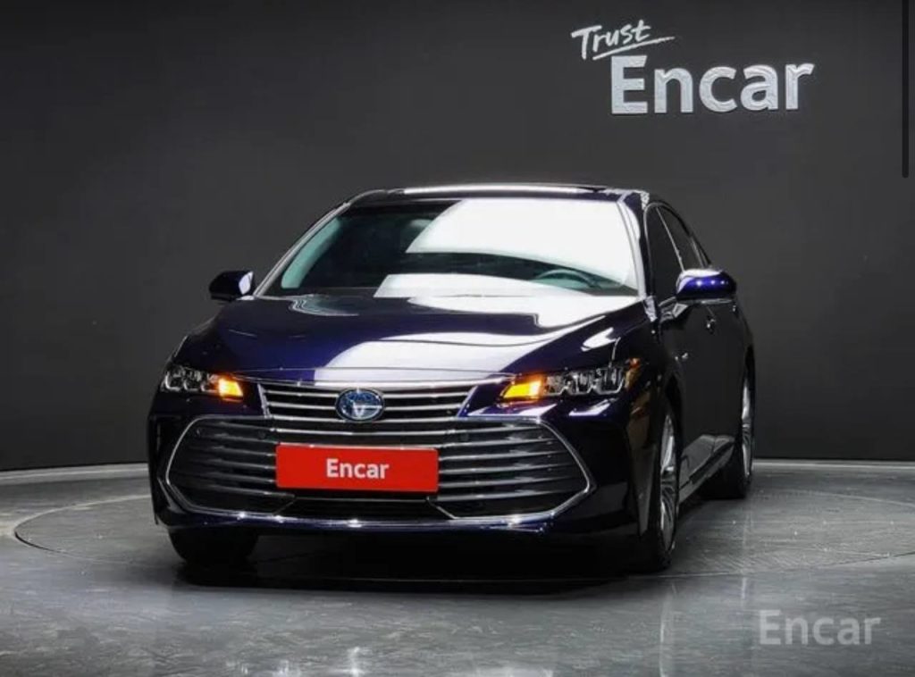 photo_5388993675469647747_y