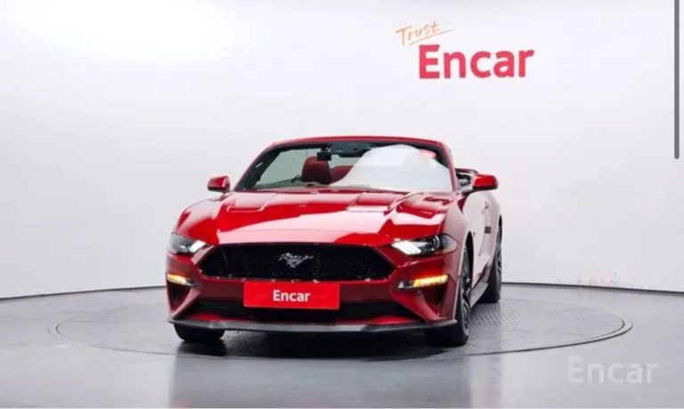 photo_5393497275097019884_y