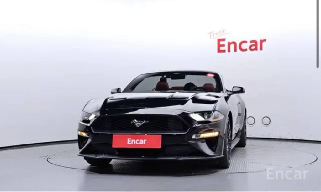 photo_5393497275097019930_y