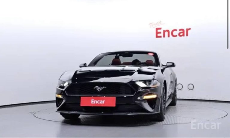 photo_5393497275097019930_y