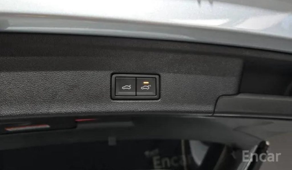 photo_5247197799798403582_y