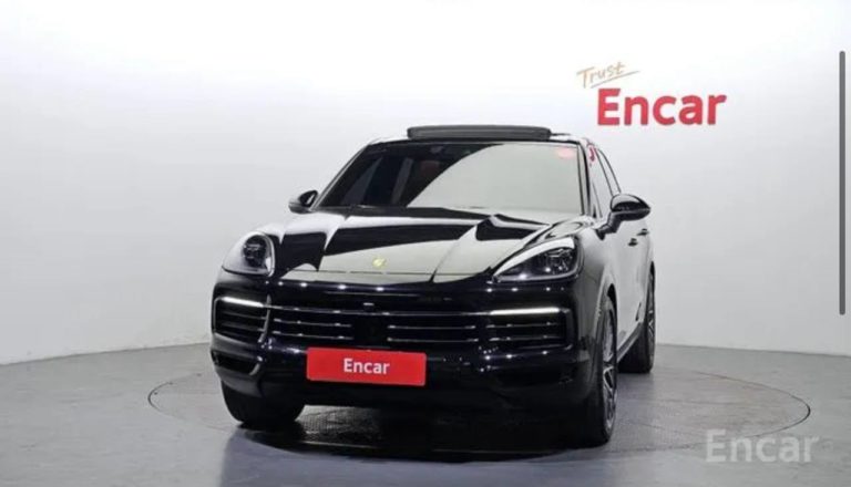 photo_5318857065684400420_y