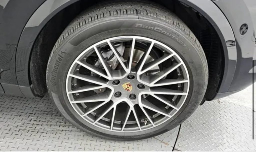 photo_5318857065684400422_y