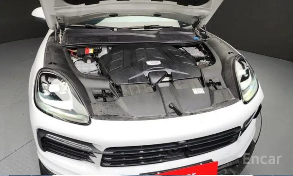 photo_5318857065684400469_y