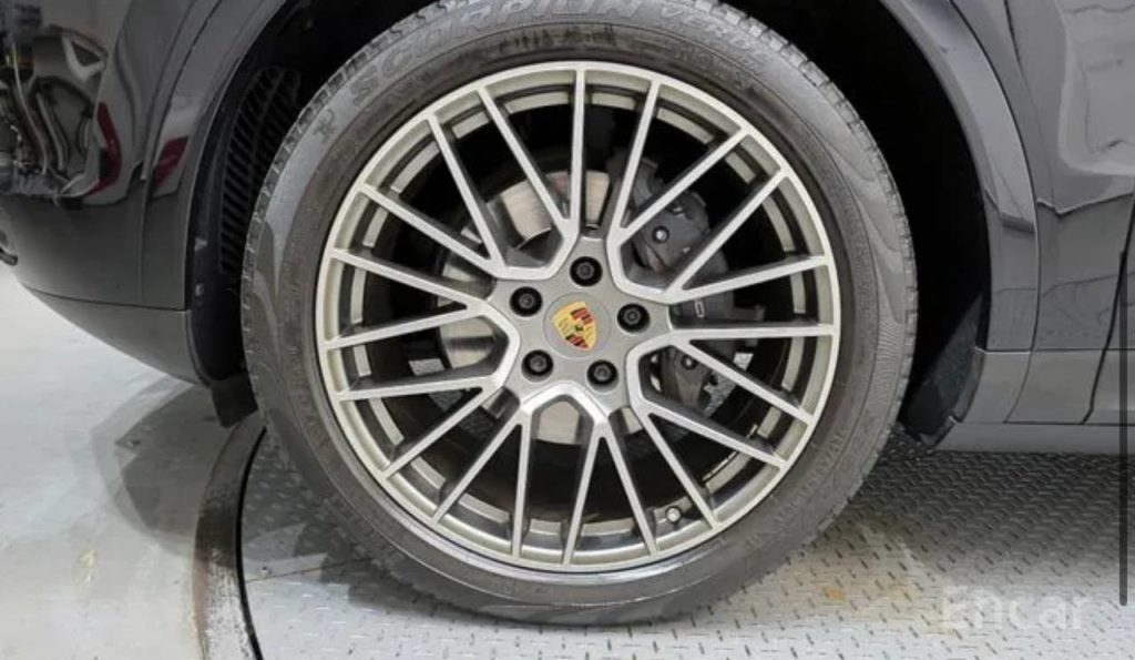 photo_5318857065684400497_y