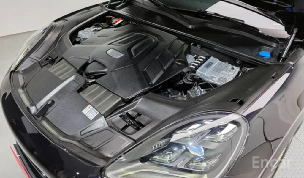 photo_5318857065684400498_y