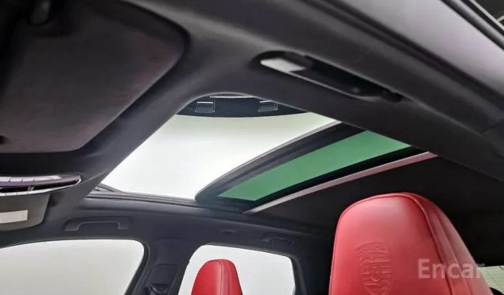 photo_5318857065684400511_y