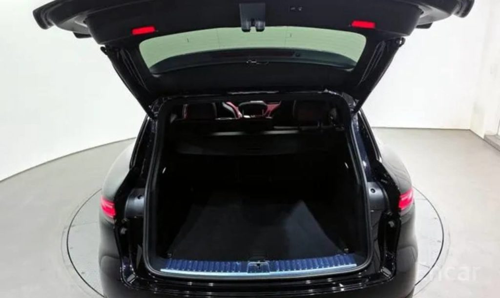 photo_5318857065684400512_y