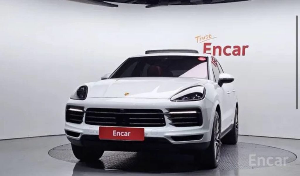 photo_5318857065684400528_y