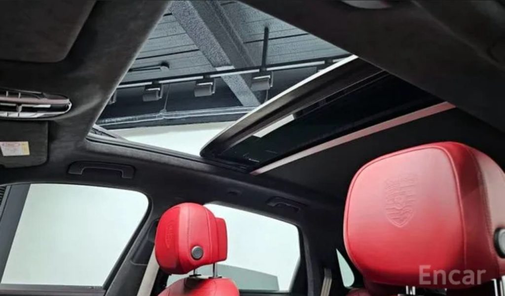 photo_5318857065684400543_y