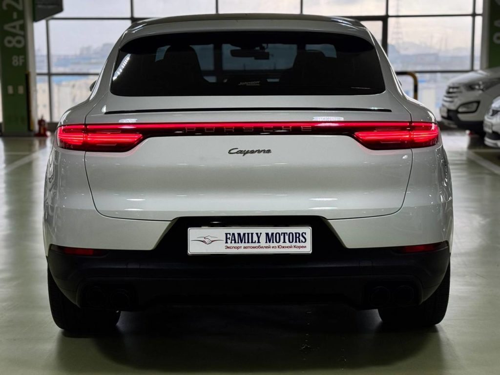 photo_5328213626168937921_y