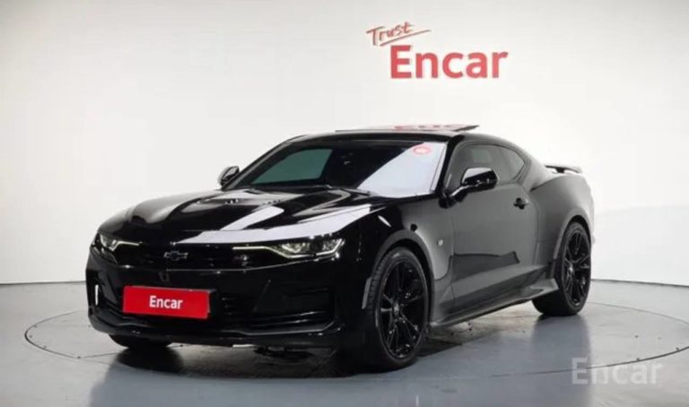 photo_5334685544883549564_y