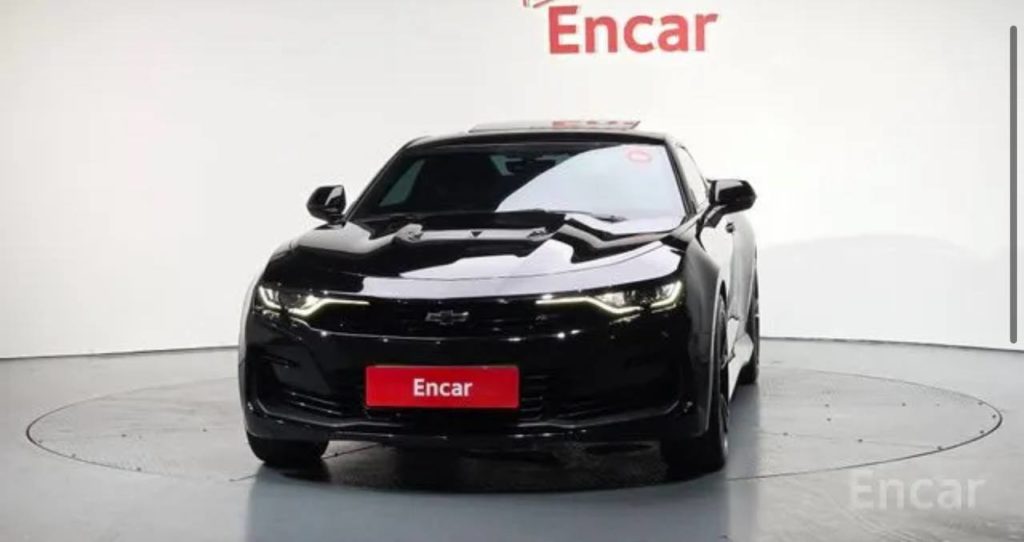 photo_5334685544883549566_y