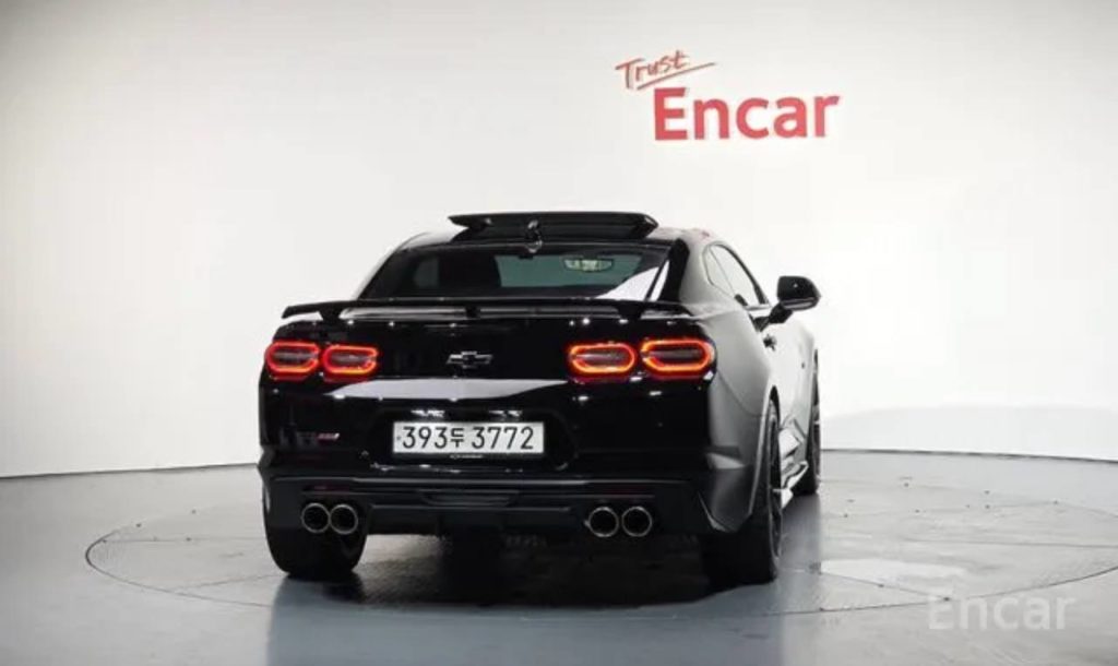 photo_5334685544883549567_y