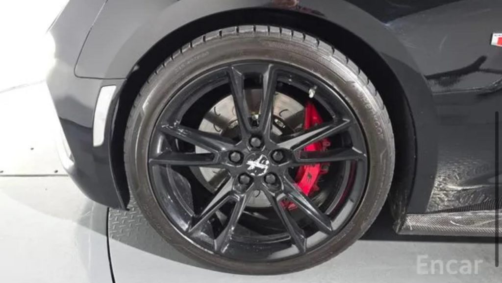 photo_5334685544883549568_y