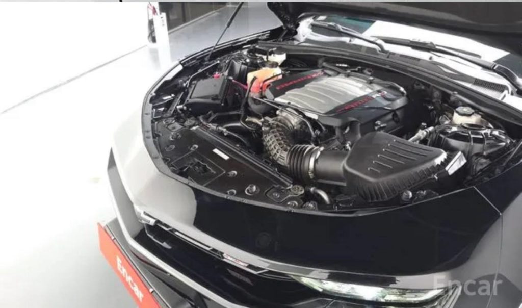 photo_5334685544883549569_y