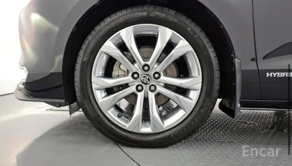 photo_5458424519048953341_y