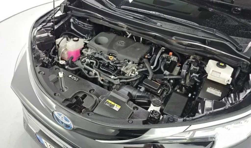 photo_5458424519048953342_y