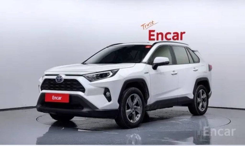 photo_5458424519048953388_y