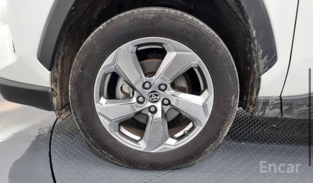 photo_5458424519048953392_y