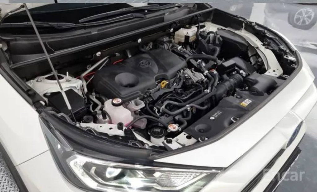 photo_5458424519048953393_y