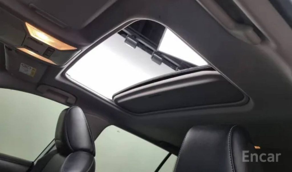 photo_5458424519048953407_y