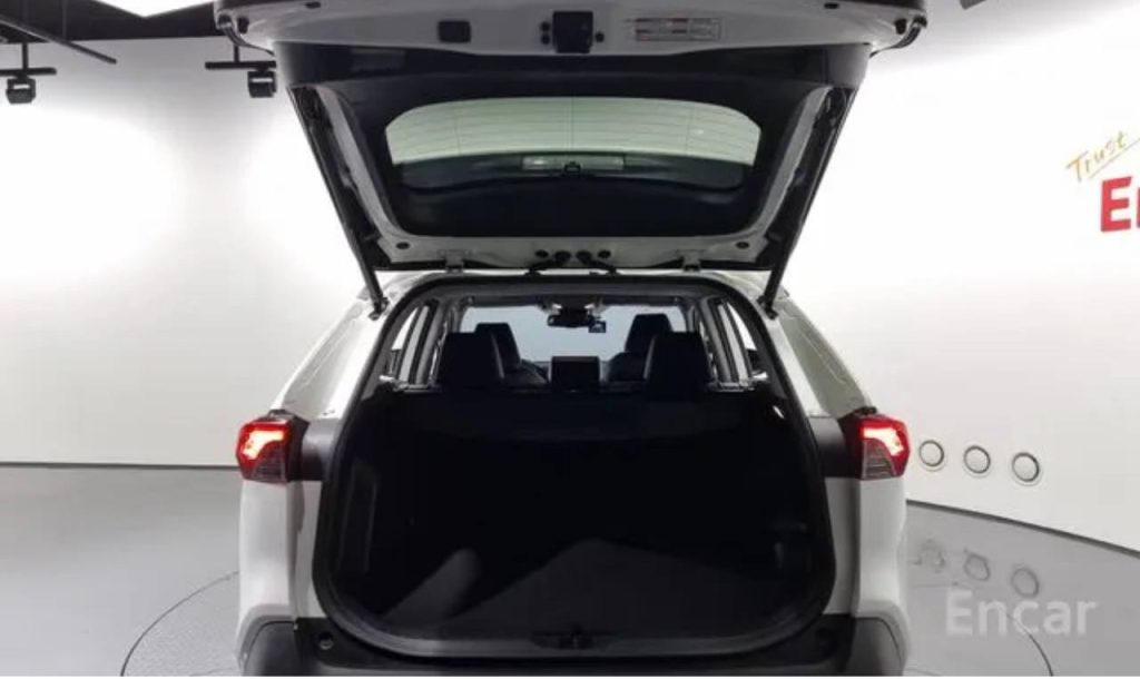 photo_5458424519048953408_y