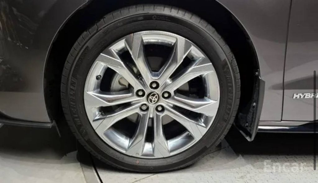 photo_5458424519048953436_y