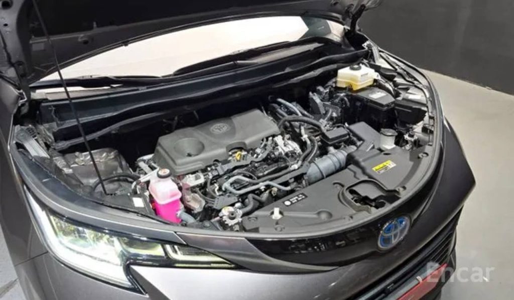 photo_5458424519048953437_y