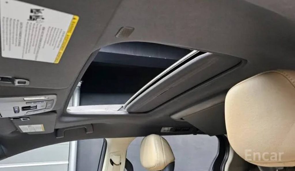 photo_5458424519048953448_y