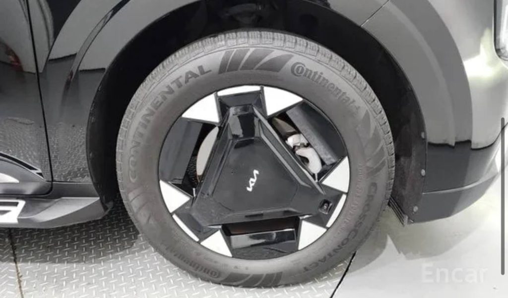 photo_5465234554768981700_y