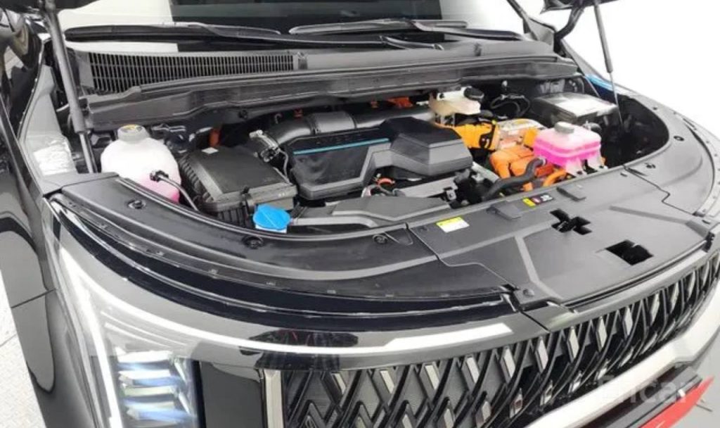 photo_5465234554768981701_y