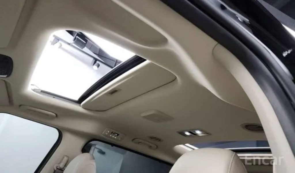 photo_5465234554768981713_y