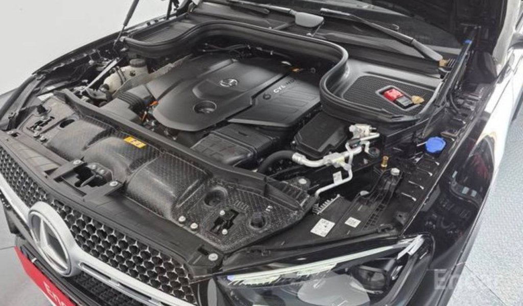 photo_5417968018773447232_y